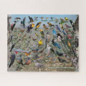 Hinterhofvögel in Oregon Puzzle (Horizontal)