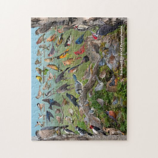 Hinterhofvögel in Pennsylvania Puzzle (Vertikal)