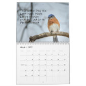 Hinterhofvögel Kalender (Mär 2027)
