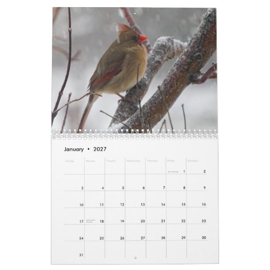 Hinterhofvögel Kalender (Jan 2027)