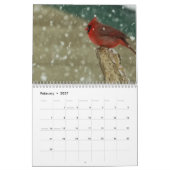 Hinterhofvögel Kalender (Feb 2027)