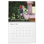 Hinterhofvögel Kalender (Feb 2027)