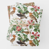Hinterhofvögel und Blume Geschenkpapier Set (Beispiel)