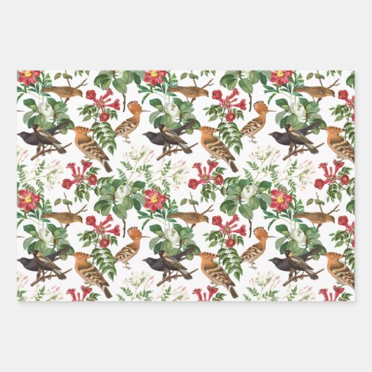 Hinterhofvögel und Blume Geschenkpapier Set (Vorderseite)