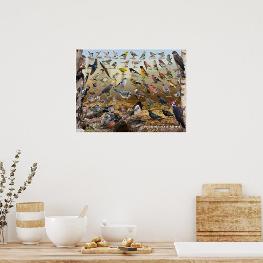 Hinterhofvögel von Alberta Poster (Küche)