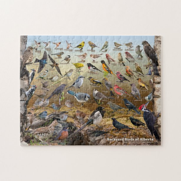 Spatz Puzzle | Zazzle.de