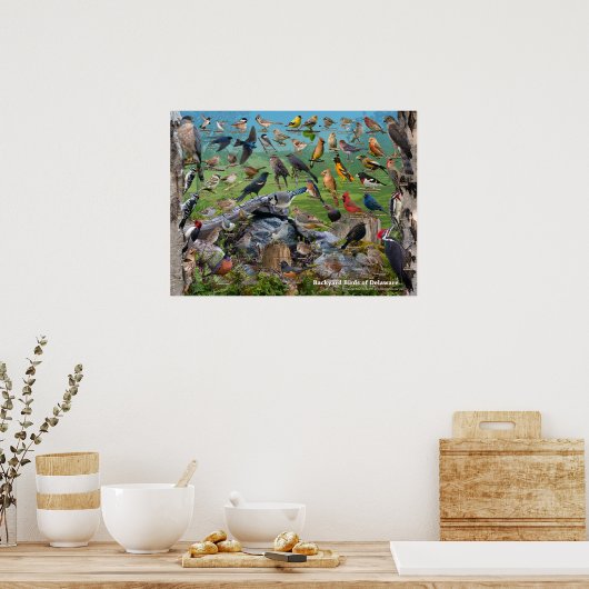 Hinterhofvögel von Delaware Poster (Küche)