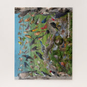 Hinterhofvögel von Delaware Puzzle (Vertikal)