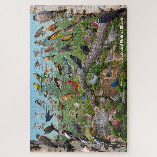 Hinterhofvögel von Illinois Puzzle (Vertikal)