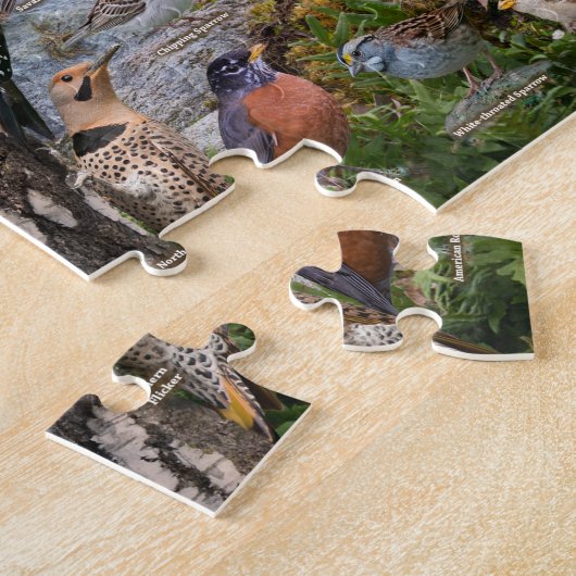 Hinterhofvögel von Illinois Puzzle (Seite)