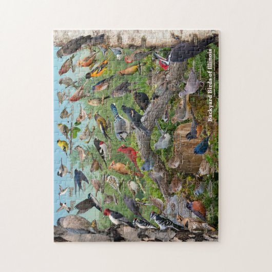 Hinterhofvögel von Illinois Puzzle (Vertikal)