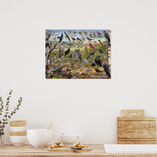 Hinterhofvögel von Iowa Poster (Küche)