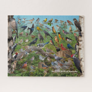 Hinterhofvögel von Kentucky Puzzle