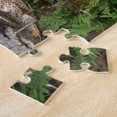 Hinterhofvögel von Massachusetts Puzzle (Seite)