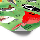 Hinterhofvögel von Minnesota Poster (Ecke)