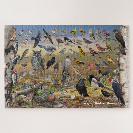 Hinterhofvögel von Minnesota Puzzle (Horizontal)