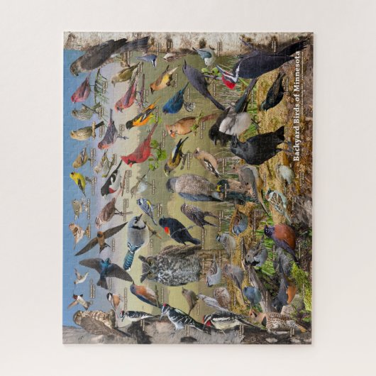 Hinterhofvögel von Minnesota Puzzle (Vertikal)