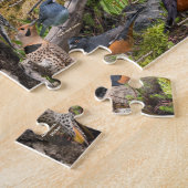 Hinterhofvögel von Minnesota Puzzle (Seite)