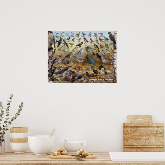 Hinterhofvögel von Montana Poster (Küche)