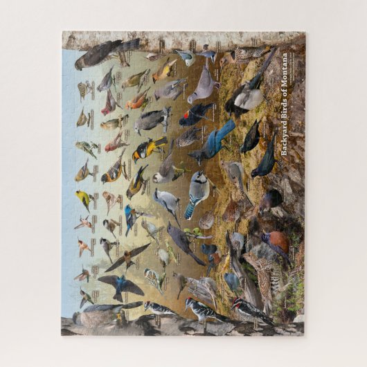 Hinterhofvögel von Montana Puzzle (Vertikal)
