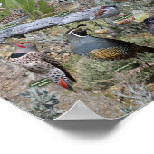 Hinterhofvögel von Nevada Poster (Ecke)