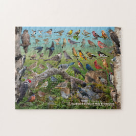 Hinterhofvögel von New Brunswick Puzzle