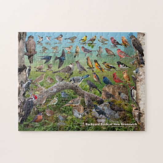 Hinterhofvögel von New Brunswick Puzzle (Horizontal)