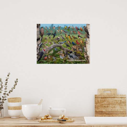 Hinterhofvögel von Nova Scotia Poster (Küche)