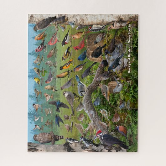 Hinterhofvögel von Nova Scotia Puzzle (Vertikal)