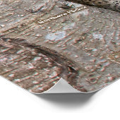 Hinterhofvögel von Pennsylvania Custom SIze Poster (Ecke)