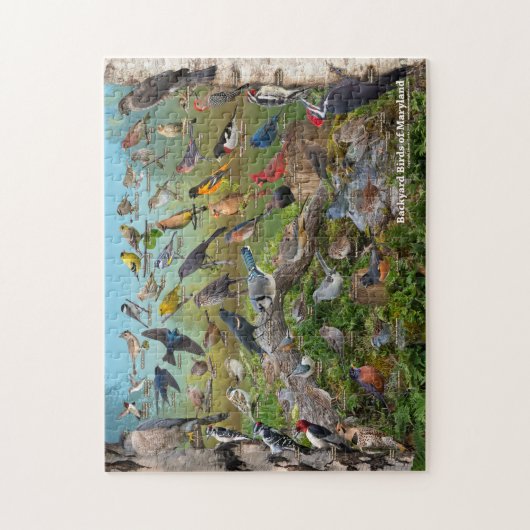 Hinterhofvögel von Royland Puzzle (Vertikal)