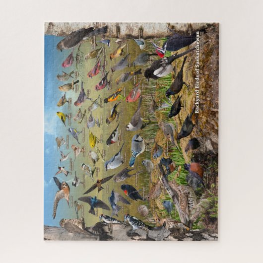 Hinterhofvögel von Saskatchewan Puzzle (Vertikal)