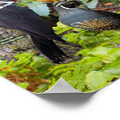 Hinterhofvögel von Western Oregon Poster (Ecke)