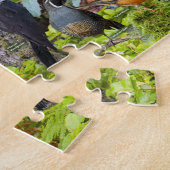 Hinterhofvögel von Western Oregon Puzzle (Seite)