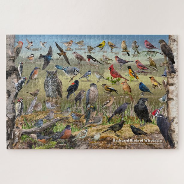 Spatz Puzzle | Zazzle.de