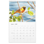Hinterhofvogelkalender Kalender (Mär 2027)