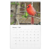 Hinterhofvogelkalender Kalender (Feb 2027)