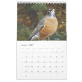 Hinterhofvogelkalender Kalender (Jan 2027)
