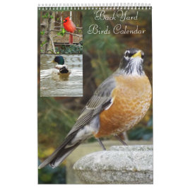 Hinterhofvogelkalender Kalender