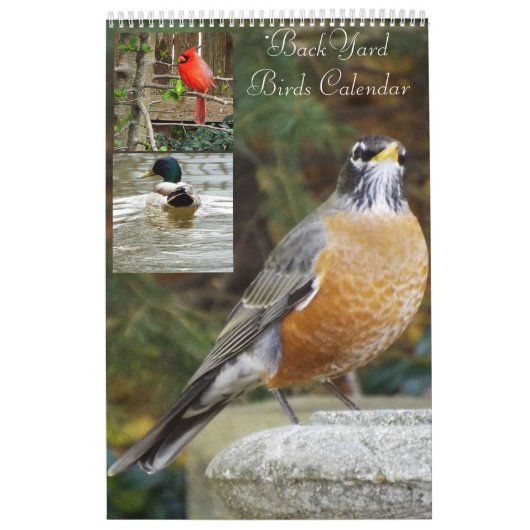 Hinterhofvogelkalender Kalender (Titelbild)