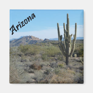 Hinterkaktus-Foto-Magnet Arizonas Apache Magnet
