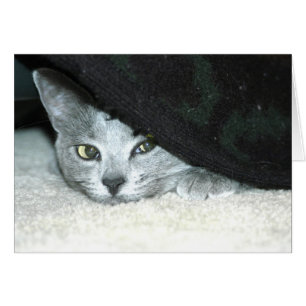 Hinterlistiges Karma