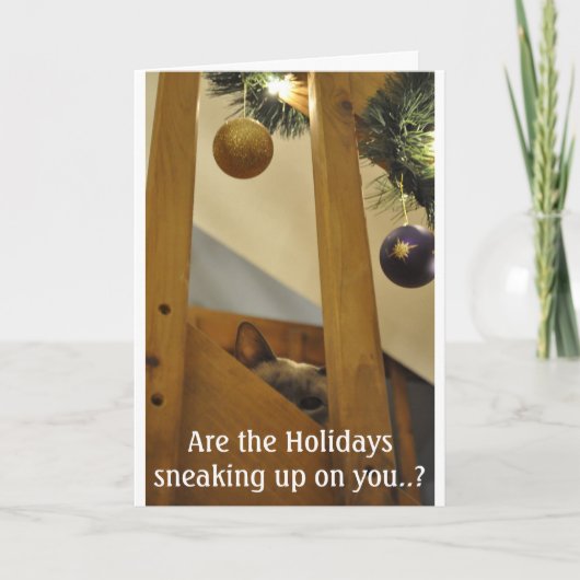 Hinterlistiges siamesisches feiertagskarte (Vorderseite)