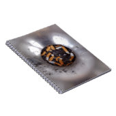 Hintern der Zigarette in Silver Smokers Ashtray, F Notizblock (Rechte Seite)