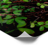 Hintern eines gefallenen Leaf Poster (Ecke)