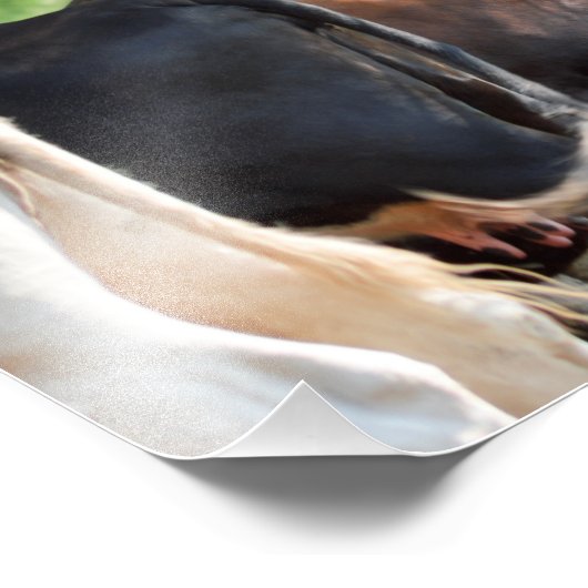 Hintern Fotodruck (Ecke)