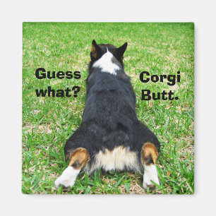 Hintern Funny Corgi Magnet