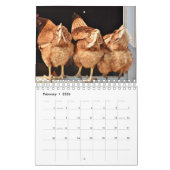 Hintern Kalender (Feb 2026)