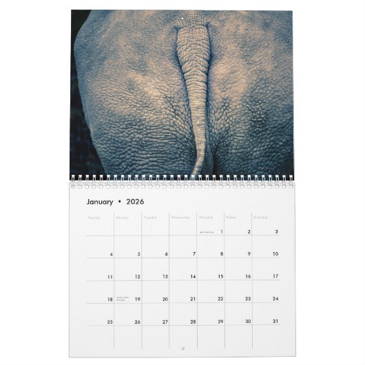 Hintern-Kalender 2025 Kalender (Jan 2026)