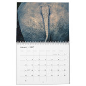 Hintern-Kalender 2025 Kalender (Jan 2027)